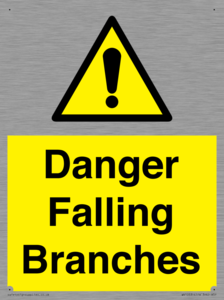 Danger Falling Branches
